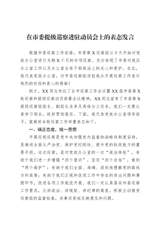 在市委提级巡察进驻动员会上的表态发言.docx