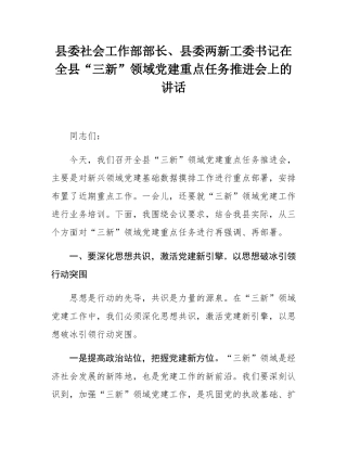 县委社会工作部部长、县委两新工委书记在全县“三新”领域党建重点任务推进会上的讲话.docx