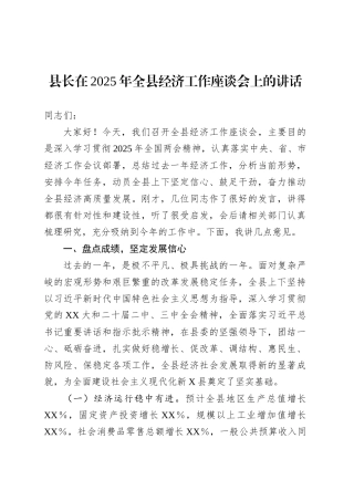 县长在2025年全县经济工作座谈会上的讲话.docx
