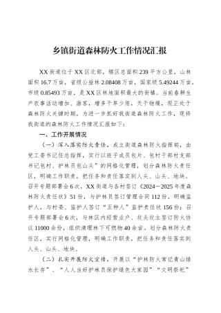 乡镇街道街道森林防火工作情况汇报.docx