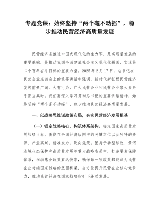 专题党课：始终坚持“两个毫不动摇”，稳步推动民营经济高质量发展.docx