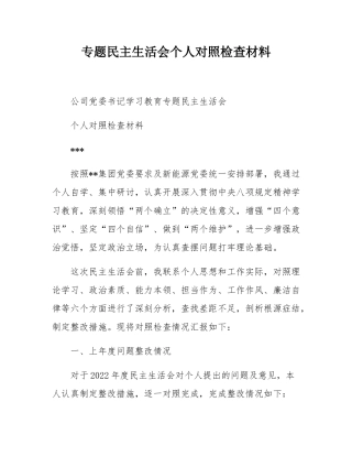 专题民主SH会个人对照检查材料.docx
