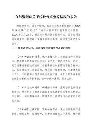 自然资源部关于统计督察整改情况的报告.docx