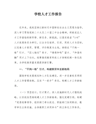 学校人才工作报告.docx