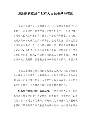 因地制宜推进全过程人民民主基层实践.docx
