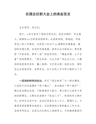在国企任职大会上的表态发言.docx