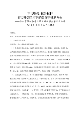 在全市供销合作社第三届理事会第三次全体（扩大）会议上的工作报告.doc