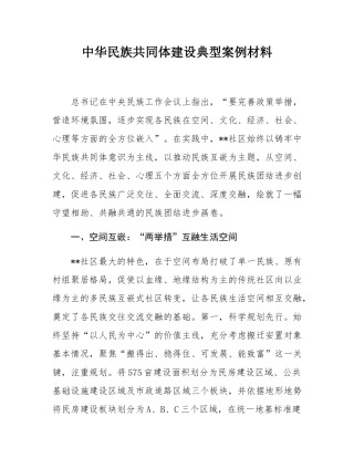 中华民族共同体建设典型案例材料.docx