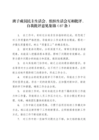 班子成员民主生活会、组织生活会互相批评、自我批评意见集锦（87条）20250319.docx