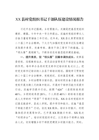 XX县村党组织书记干部队伍建设情况报告.docx