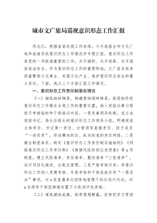 城市文广旅局巡视意识形态工作汇报.docx