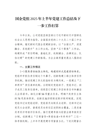 国企党组2025年上半年党建工作总结及下一步工作打算.docx