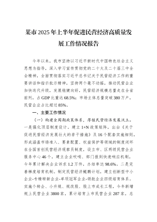 某市2025年上半年促进民营经济高质量发展工作情况报告.docx