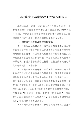 市国资委关于巡察整改工作情况的报告.docx