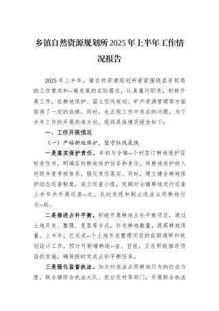 乡镇自然资源规划所2025年上半年工作情况报告.docx