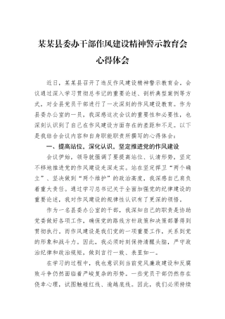 某某县委办干部作风建设精神警示教育会心得体会.docx