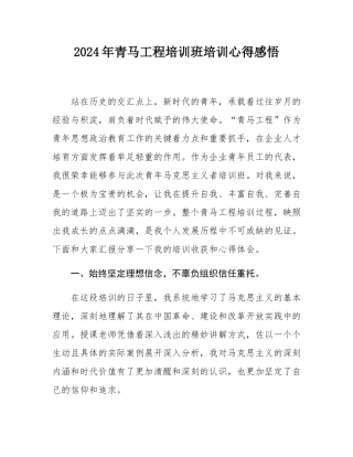 2024年青马工程培训班培训心得感悟.docx
