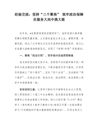 经验交流：坚持“三个聚焦” 筑牢政治保障 在服务大局中挑大梁.docx