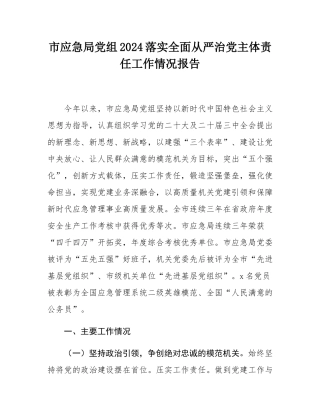 市应急局党组2024落实全面从严治党主体责任工作情况报告.docx