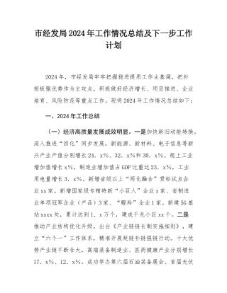 市经发局2024年工作情况总结及下一步工作计划.docx