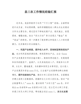 县三农工作情况经验汇报.docx