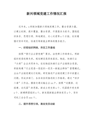 新兴领域党建工作情况汇报.docx