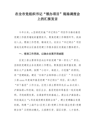 在全市党组织书记“领办项目”现场调度会上的汇报发言.docx