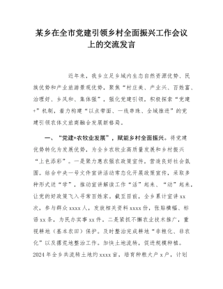 某乡在全市党建引领乡村全面振兴工作会议上的交流发言.docx