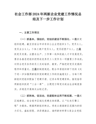 社会工作部2024年两新企业党建工作情况总结及下一步工作计划.docx