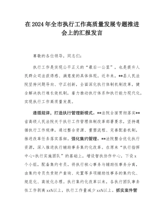 在2024年全市执行工作高质量发展专题推进会上的汇报发言.docx