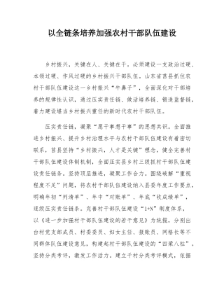 以全链条培养加强农村干部队伍建设.docx