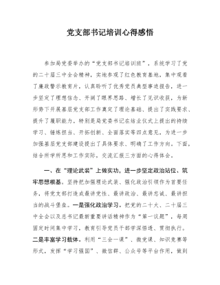 党支部书记培训心得感悟.docx