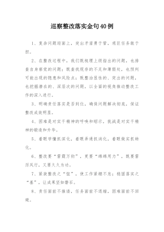 巡察整改落实金句40例.docx