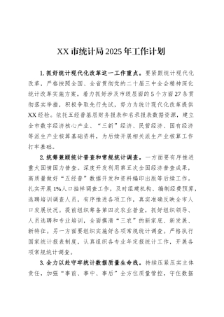 XX市统计局2025年工作计划.docx