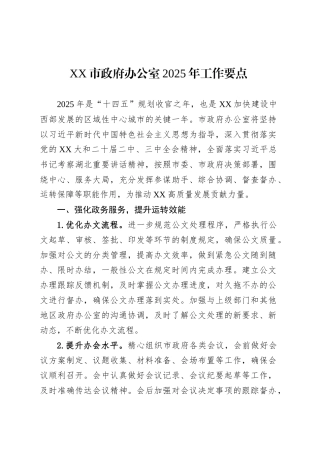 XX市政府办公室2025年工作要点.docx