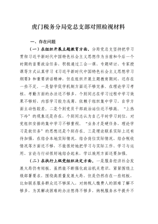 XX税务分局党总支部对照检视材料.docx