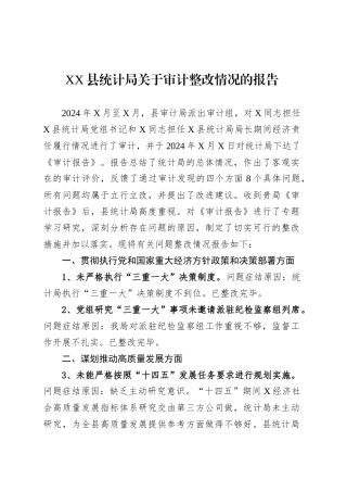 XX县统计局关于审计整改情况的报告.docx