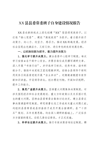 XX县县委常委班子自身建设情况报告.docx