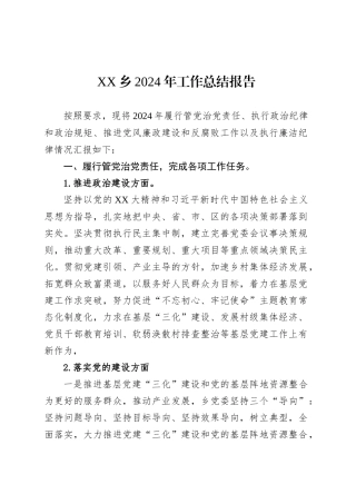 XX乡2024年工作总结报告.docx