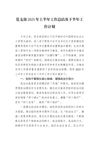 党支部2025年上半年工作总结及下半年工作计划.docx