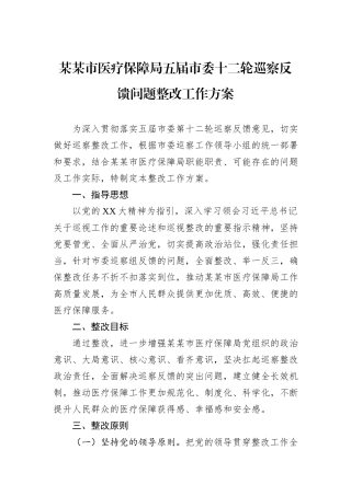 某某市医疗保障局五届市委十二轮巡察反馈问题整改工作方案.docx