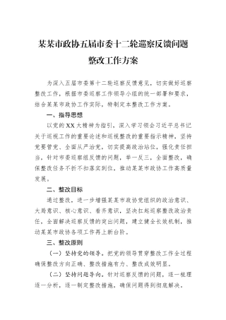 某某市政协五届市委十二轮巡察反馈问题整改工作方案.docx