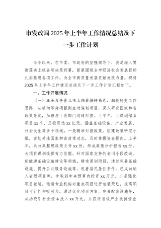 市发改局2025年上半年工作情况总结及下一步工作计划.docx