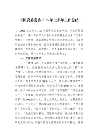 市国资委党委2025年上半年工作总结.docx