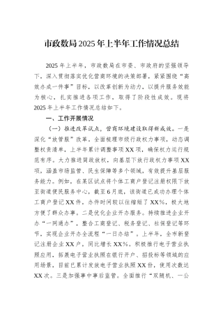 市政数局2025年上半年工作情况总结.docx