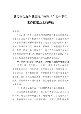 县委书记在全县违规“吃喝风”集中整治工作推进会上的讲话.docx