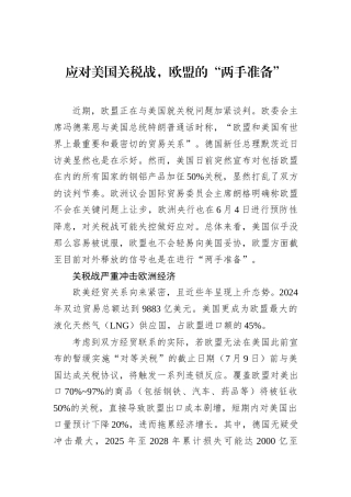 应对美国关税战，欧盟的“两手准备”.docx