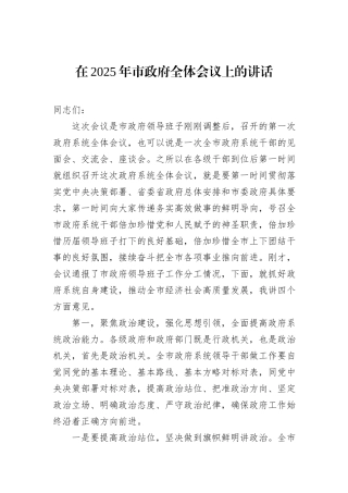 在2025年市政府全体会议上的讲话.docx