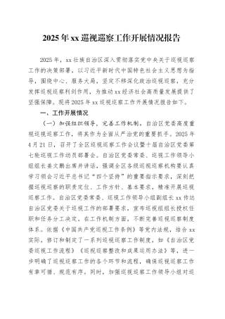 2025年xx巡视巡察工作开展情况报告.docx