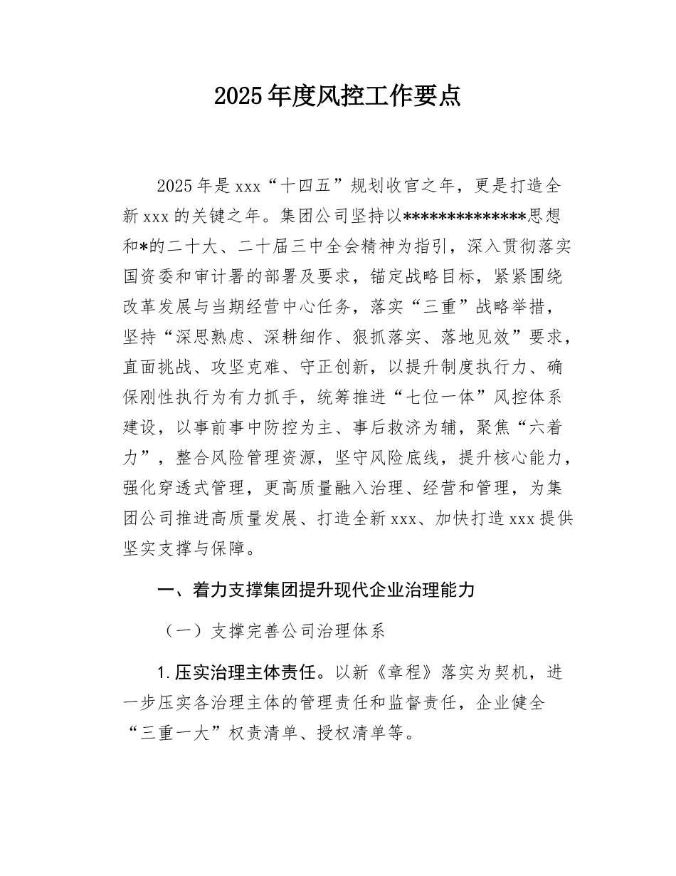 2025年度风控工作要点.docx_第1页